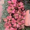 janicewalker480